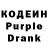 Кодеиновый сироп Lean Purple Drank Margarita Soboleva