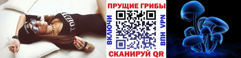 Галлюциногенные грибы мухоморы сколько стоит Солигалич